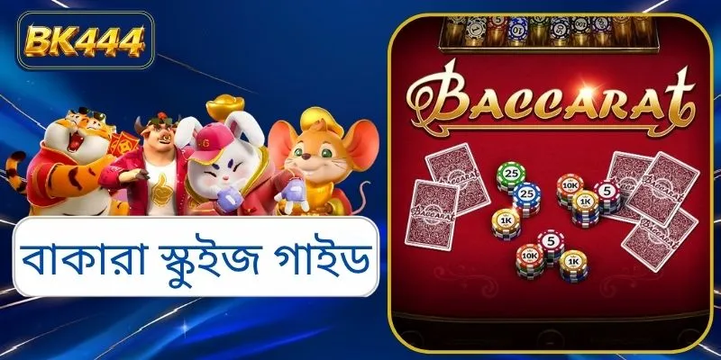 বাকারা স্কুইজ গাইড: নতুনদের জন্য একটি এ টু জেড নির্দেশিকা